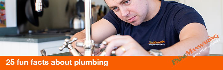 25 fun facts about plumbing